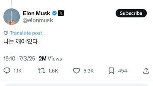 Elon Musk posts in Korean for the first time with viral AI meme