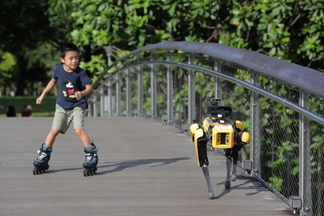 Robot dog "Spot" patrols Bishan-Ang Mo Kio Park during a pilot trial, May 8, 2020.   Straits Times