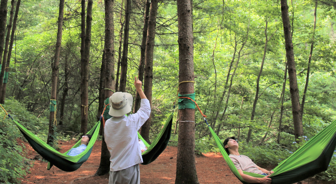 국립산림치유원 해먹 휴식 프로그램. [한국산림복지진흥원 국립산림치유원 제공]