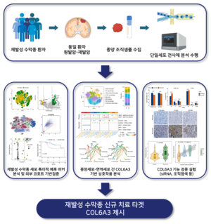재발성 뇌종양 치료, 유전자 분석이 열쇠? - 고대 연구팀, 새로운 표적 발굴