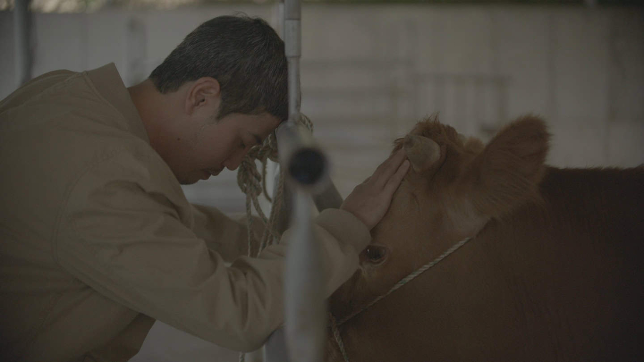 "Slaughter" (BISFF)