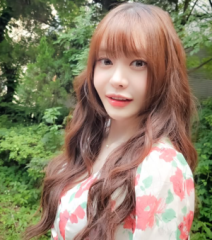 서유리, 악플러에 칼 빼들었다...“온라인 스토킹·성희롱 법적 조치”