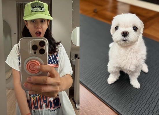 사진=손예진 채널