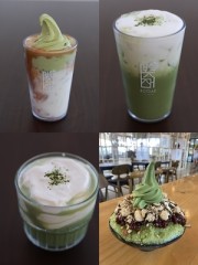일본 ‘맛챠’ 유명세 묻어가는 보성녹차 ‘말차시장’ 선점하나