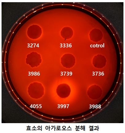 [국립낙동강생물자원관 제공]