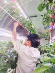 청년 농업인, 스마트팜 성공 ‘열기’