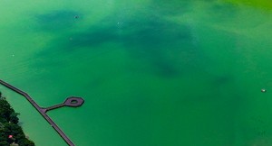 Summer heat, green waters