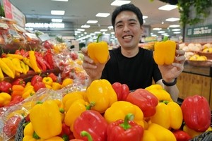 롯데마트, 10일부터 ‘제철 기획전’…상생 파프리카 690원