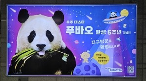푸바오와 대전 상징 꿈돌이가 대전역캡스 토토사이트 만났다
