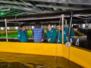 경남 해역 고수온 주의보 격상…경남도 비상체계 가동