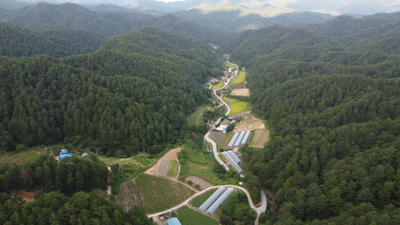 울진 금강송 산지 농업 시스템전경[울진군 제공]