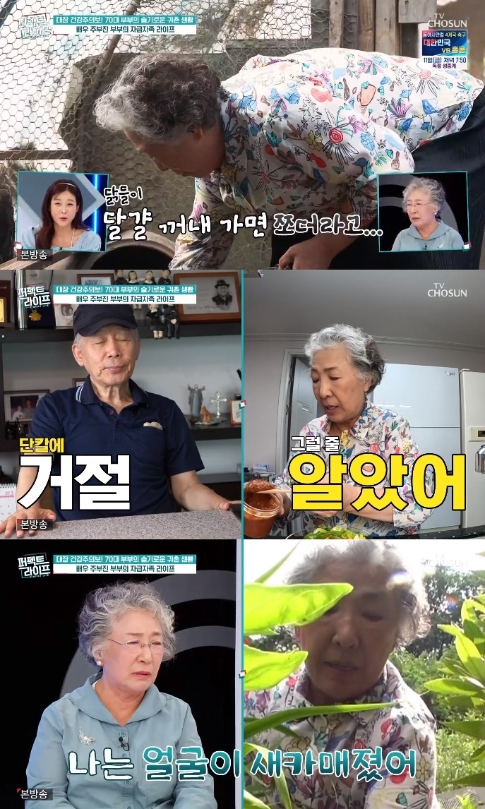 TV조선 ‘퍼펙트 라이프’ 방송캡처