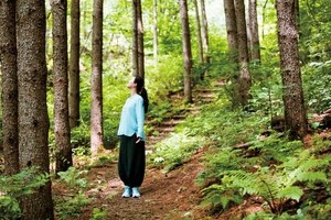 가 있기만 해도 치유되는 곳, 그늘과 동행하는 숲여행 5선[함영훈의 멋·맛·쉼]
