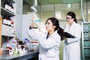 “지금이 너무 싸다…2배는 오른다?” 알고 보니, ‘역대급’ 떼돈 번 ‘이곳’