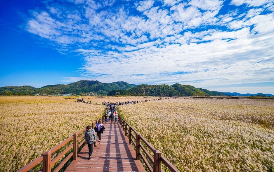 World Heritage Festival (Korea Heritage Agency)