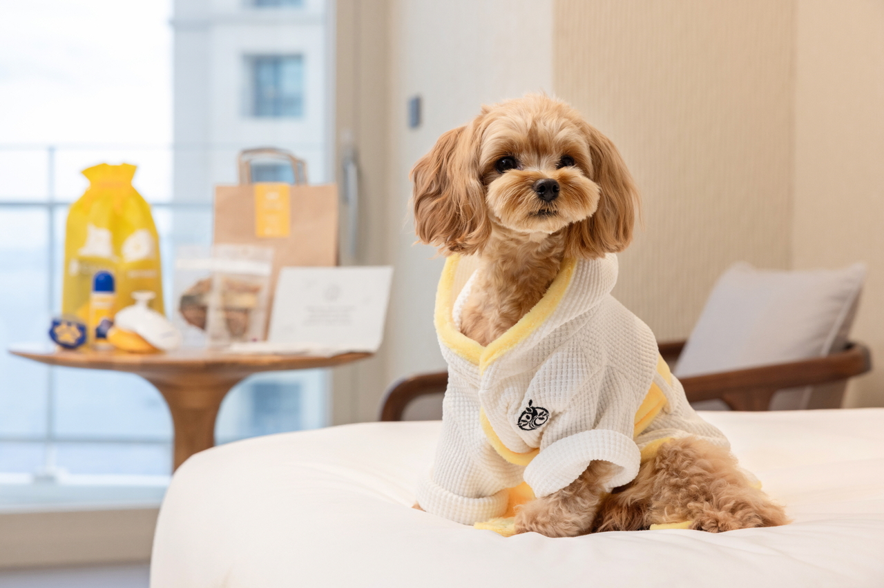 Promotional image for "Pawfect Getaway" (Cassia Sokcho)