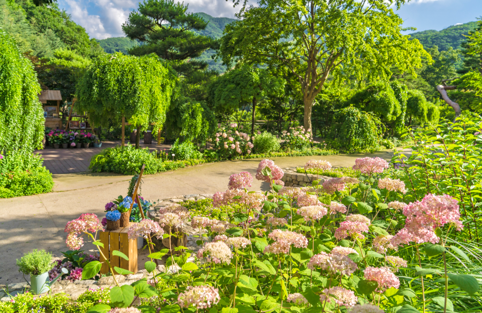 Hwadam Forest (Korea Tourism Organization)