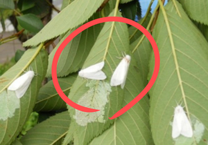 지구, 뭐래?