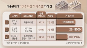 오피스텔, 대출규제 반사이익에 신고가 행진
