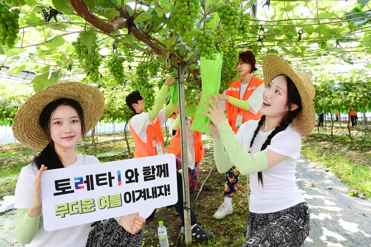 사진=코카-콜라 제공