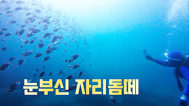2024년 섬 여행 영상공모전에서 최우수상을 수상한 <천혜의 섬 울릉도, 그 아름다운 순간들>(넥스트이모션, 이준우) [해수부 제공]