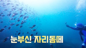 섬의 매력을 영상으로…제11회 섬 여행 영상공모전개최