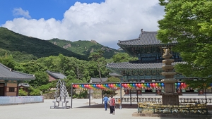 정용식의 사찰 기행