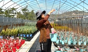 TV에서 안보이더니…1000평 농장주됐다는 서울대 출신 배우