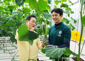 영천시, 지역특화 임대형 스마트팜 오이 첫 수확 시작