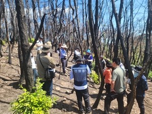 산림분야 전문가 모여 대형산불 피해지 과학적 복구 논의