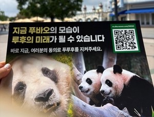 푸바오 3색 풍경..생일축하파티,꿈돌이,귀환촉구시위 “루이·후이도 언니처럼 불행 맞을라”[함영훈의 멋·맛·쉼]