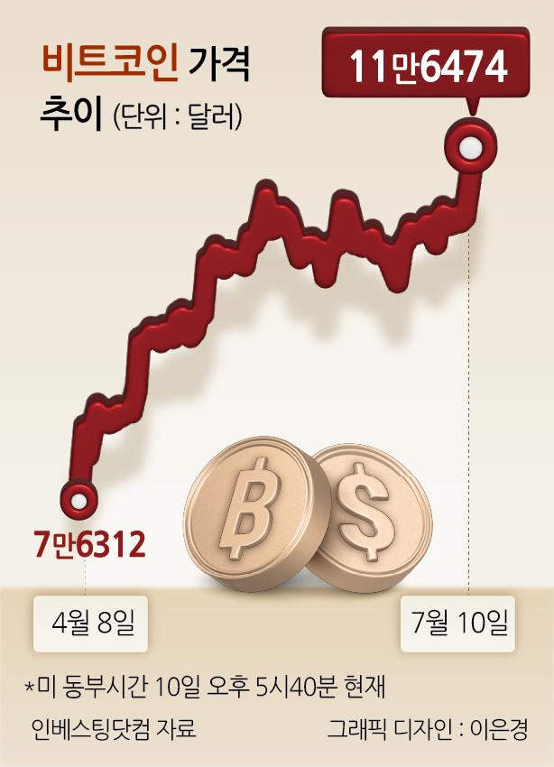 비트신태일 토토사이트 가격 추이