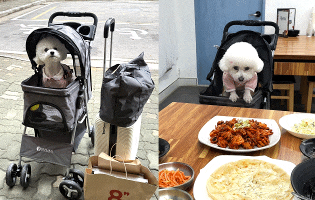 “슈퍼사이클 지배자는 우리”…‘특허왕’ 포스트 캐즘 시대 정조준