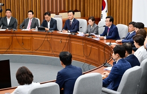 이런 정치
