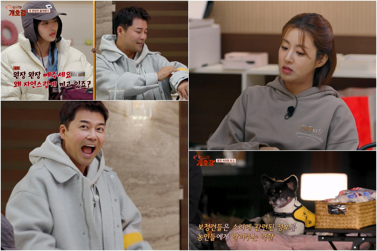사진 제공 = JTBC ‘집 나가면 개호강’