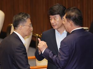 數싸움