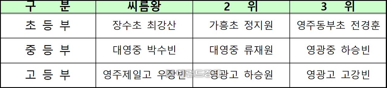 개인전 입상자