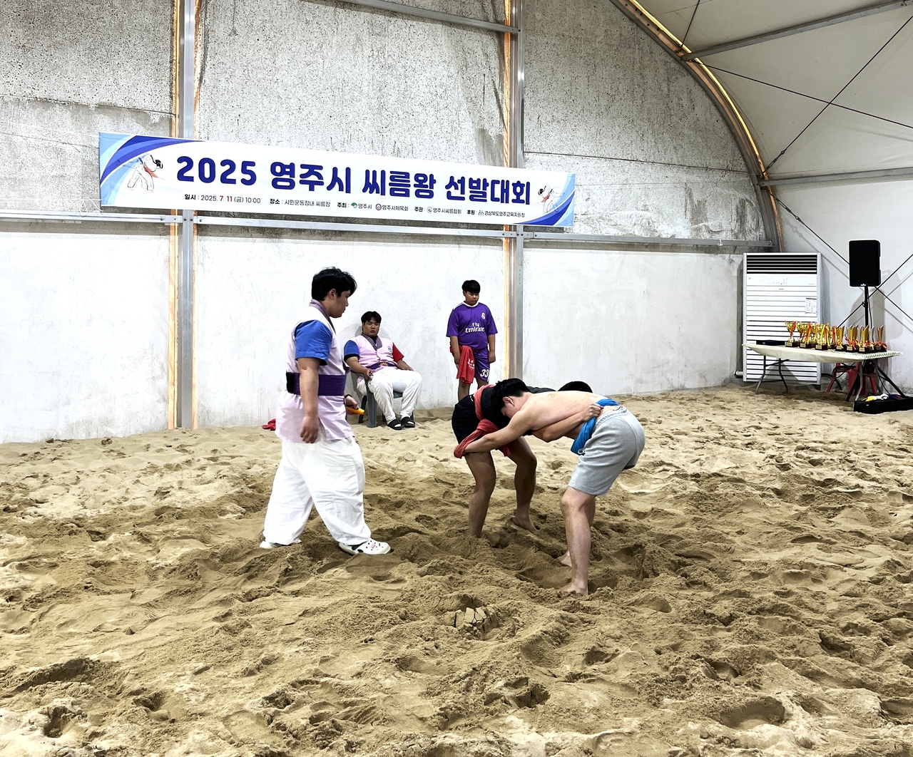 11일 영주시민운동장 내 실내씨름장에서 영주시 씨름협회가 주관하는 시노 스 토토사이트 선발대회가 열렸다 [영주시 제공]