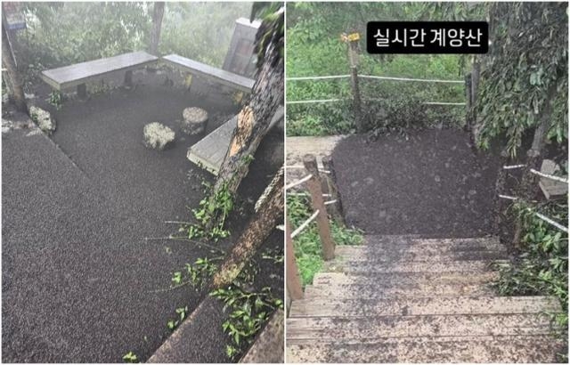 인천 계양산 정상을 점령한 토토사이트 토사장 사체들 [소셜미디어 갈무리]