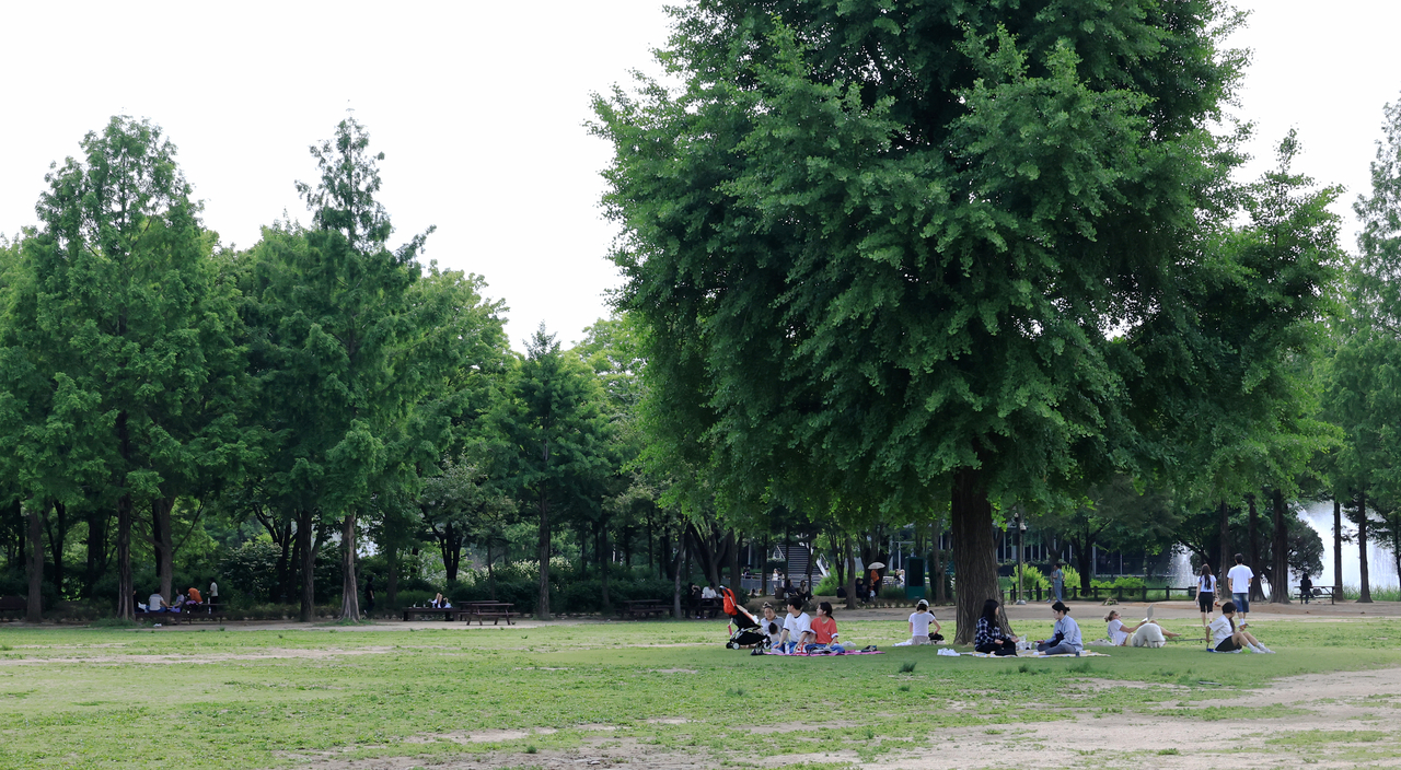 시민들이 휴식을 취하고 있는 서울숲 모습 [연합]