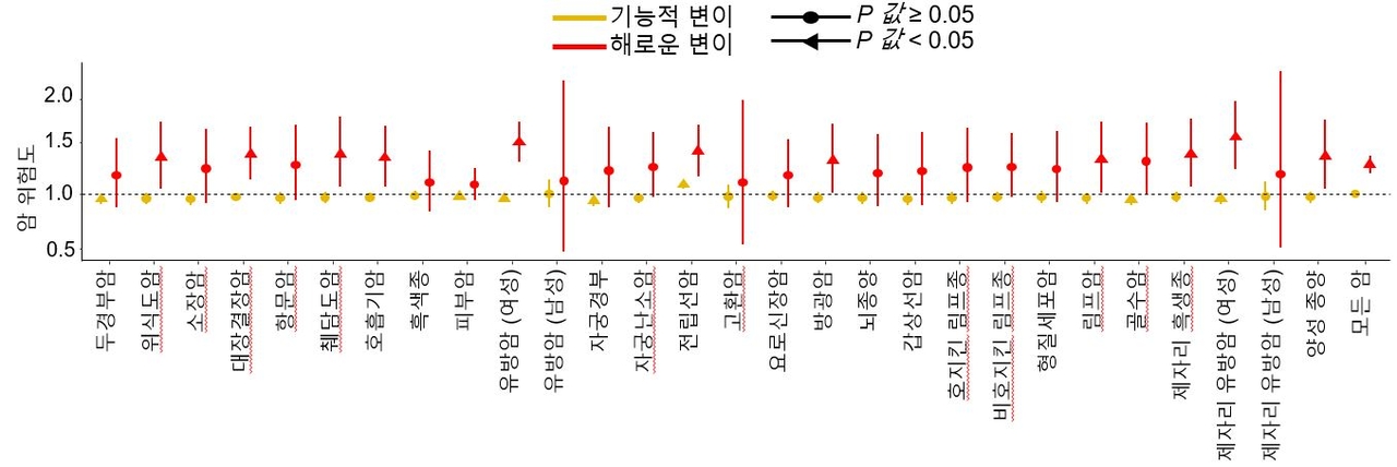 영국 바이오뱅크(UK Biobank)의 약 50만명의 도라에몽토토체 및 임상 데이터를 활용해 검증한 결과, 연구팀이 구분한 해로운 변이를 갖고 있는 사람은 그렇지 않은 사람보다 암에 걸릴 위험도가 약 1.4배 높은 것으로 나타났다.