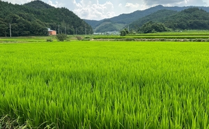 세상&