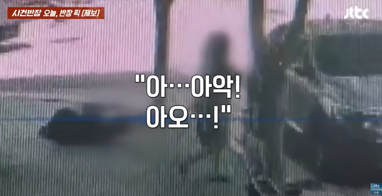 경북 구미시 국밥집에서 20대 사설토토 손님이 식당 사장을 폭행하는 사건이 벌어졌다.[JTBC ‘사건반장’ ]