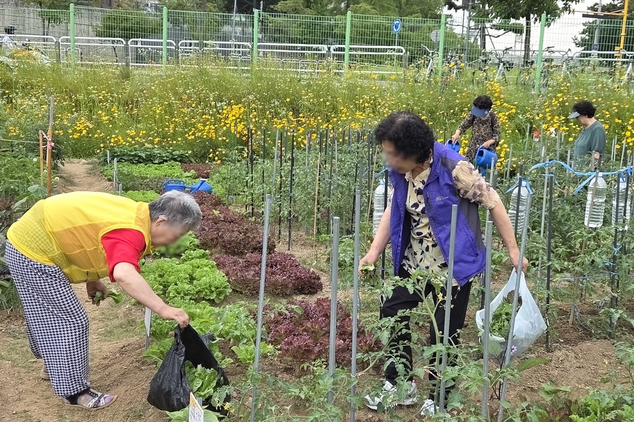 성동케어팜. [그랜드토토 제공]