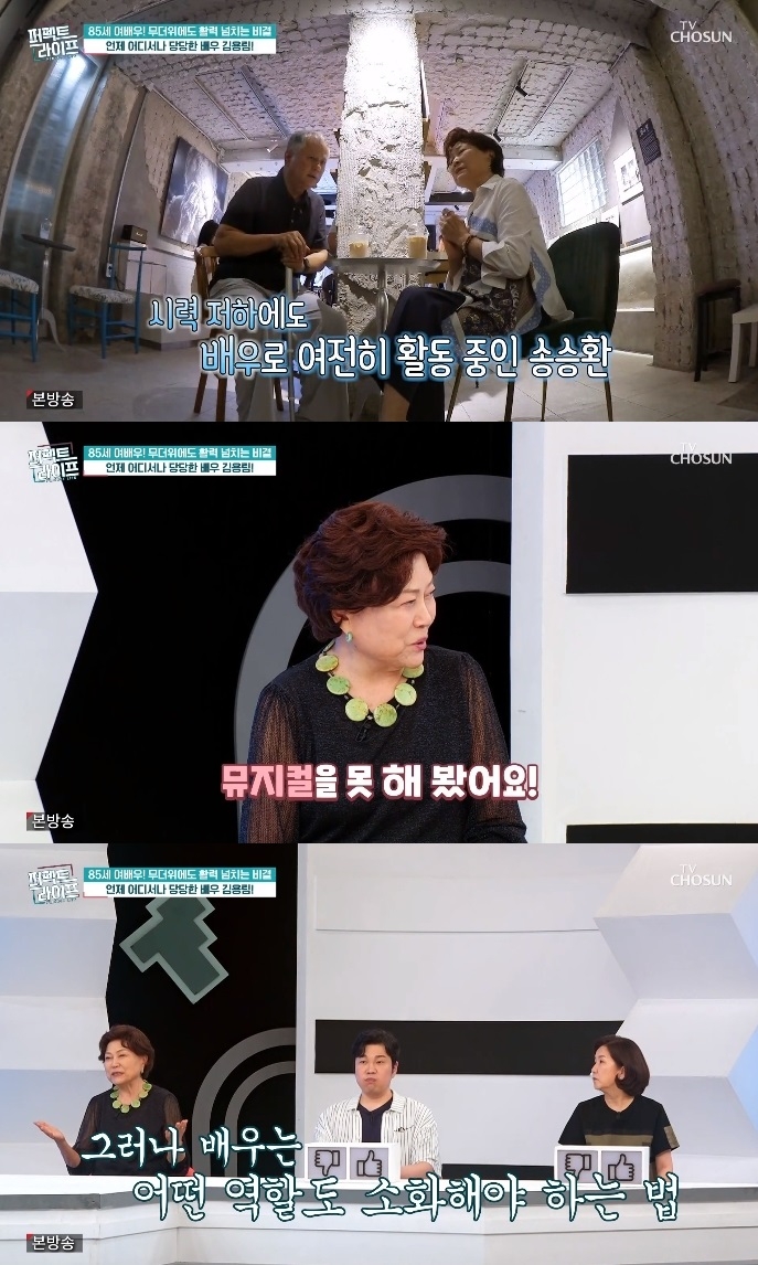 TV조선 ‘퍼펙트 라이프’ 방송캡처