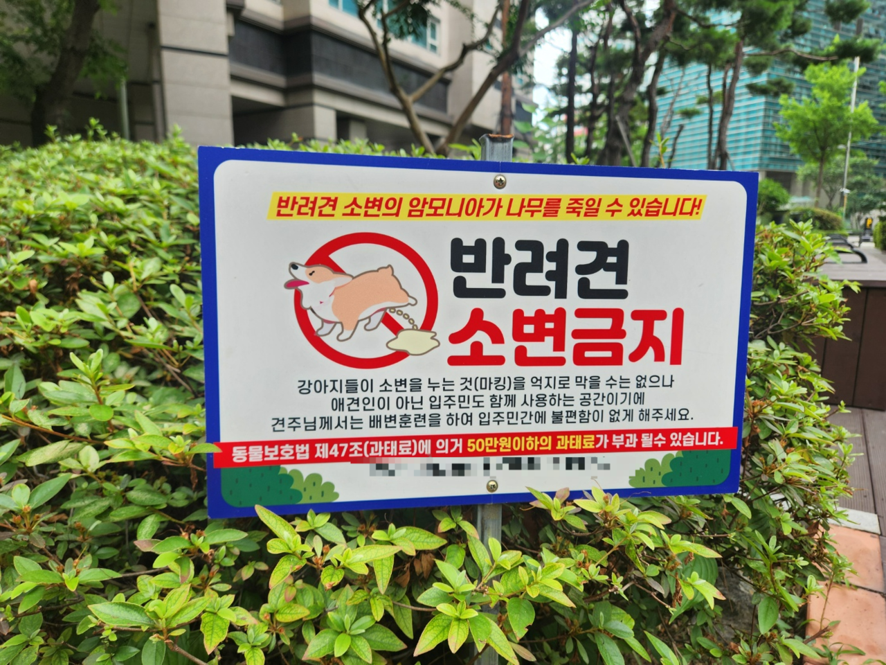 서울 한 아파트 화단에 ‘반려견 토토사이트 fa금지’ 안내문이 설치돼 있다.[독자 제공]