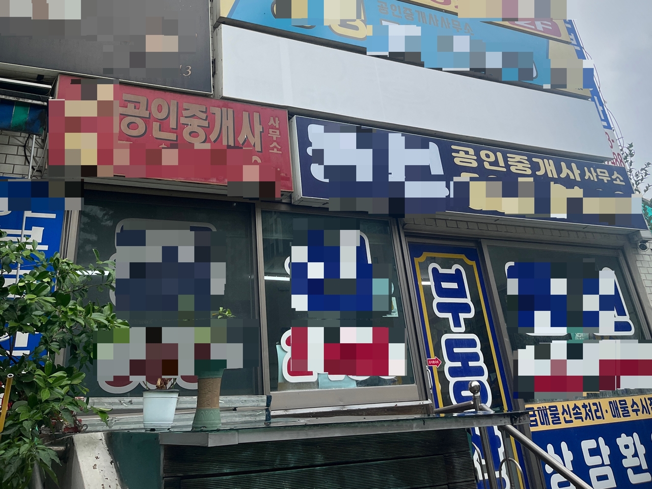 토토사이트 무신사 별양동 소재 공인중개사무소들의 모습. 윤성현 기자
