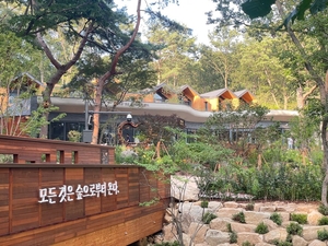 Surak Hyu, Seoul's 1st urban forest retreat offers treehouse stays, digital detox