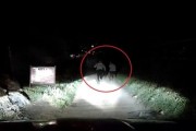 “저 차 이상한데”…순찰차 보고 도망친 외국인, 잡고보니 무면허에 불법체류 마약범