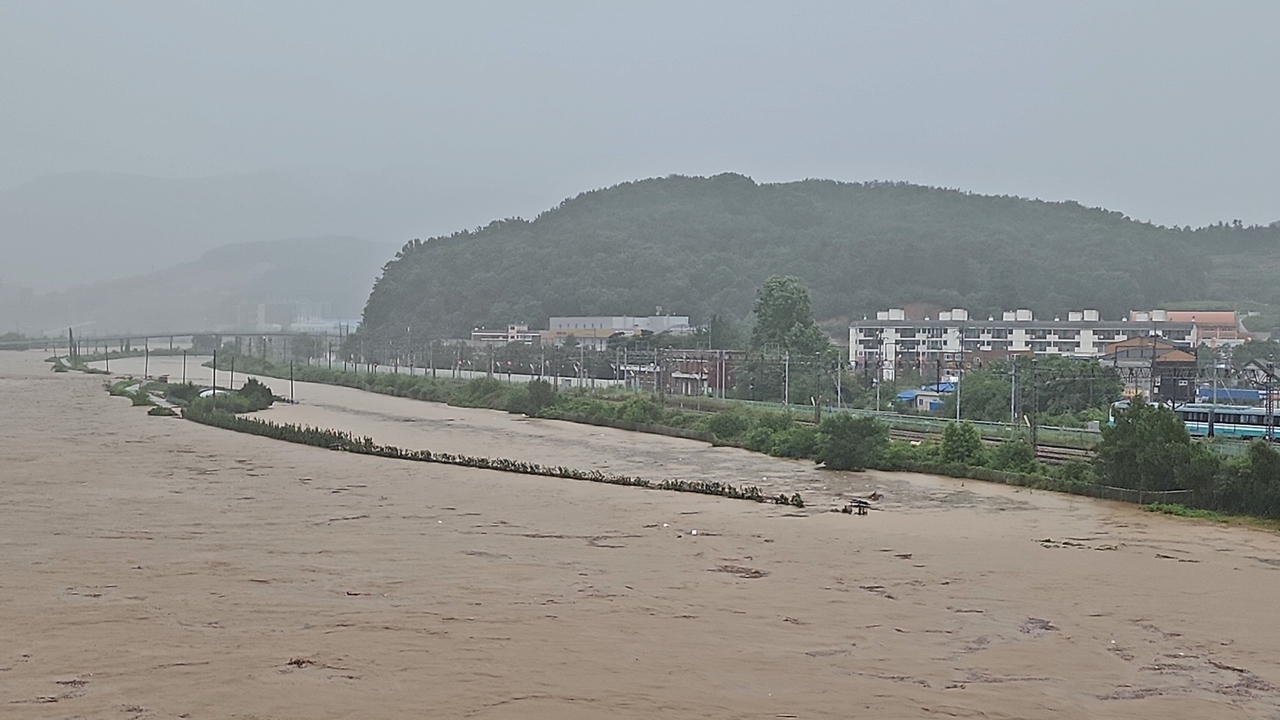 Following heavy rainfall on Thursday, a stream flowing through Jeondong-myeon in Sejong is on the verge of overflowing. (Yonhap)